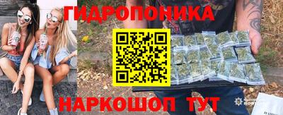 стафф Камышлов