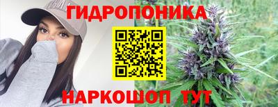 стафф Камышлов
