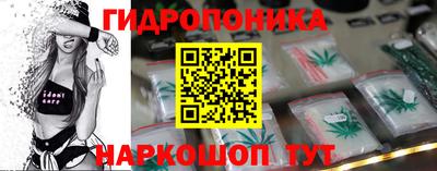 стафф Камышлов