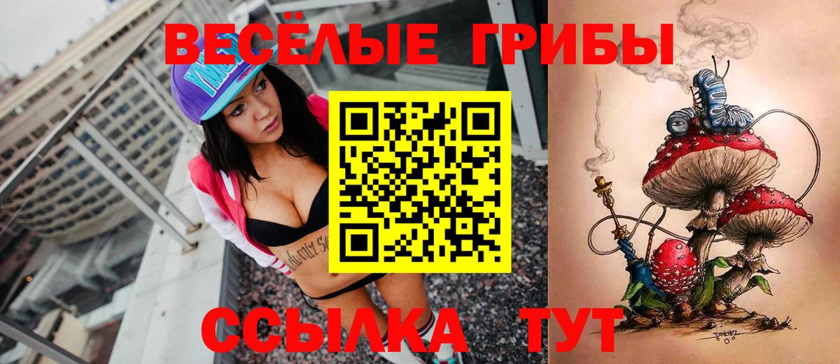 Псилоцибиновые грибы GOLDEN TEACHER Кунгур