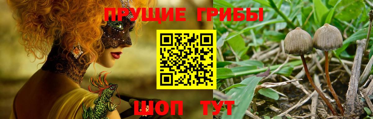 Галлюциногенные грибы прущие грибы  Вход с VPN  купить наркоту  Кунгур 